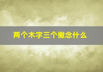 两个木字三个撇念什么