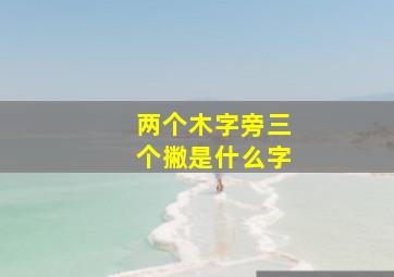 两个木字旁三个撇是什么字