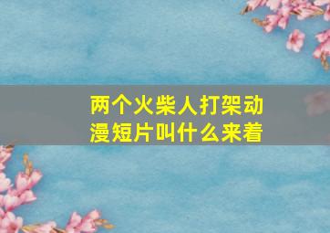 两个火柴人打架动漫短片叫什么来着