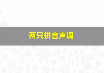 两只拼音声调