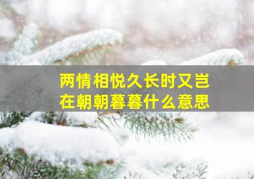 两情相悦久长时又岂在朝朝暮暮什么意思