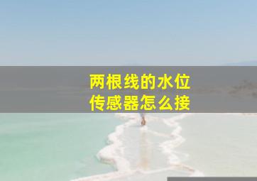 两根线的水位传感器怎么接