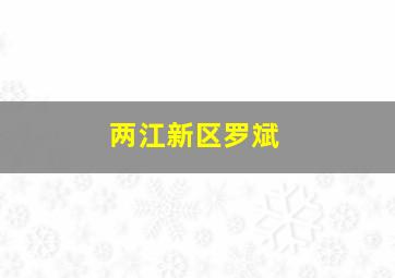 两江新区罗斌