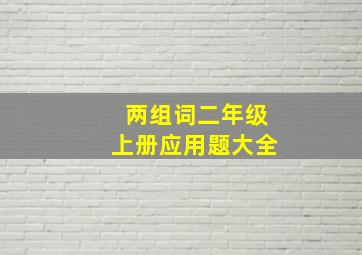 两组词二年级上册应用题大全