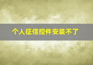 个人征信控件安装不了