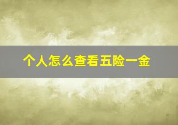 个人怎么查看五险一金