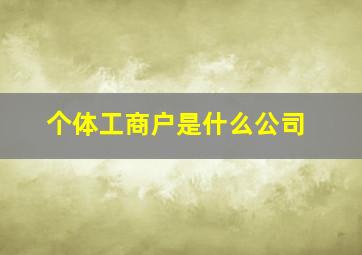 个体工商户是什么公司