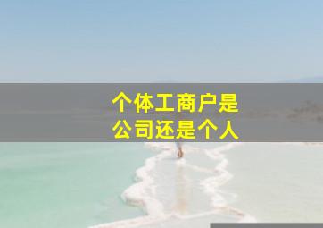 个体工商户是公司还是个人