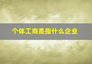 个体工商是指什么企业