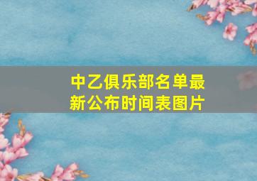 中乙俱乐部名单最新公布时间表图片