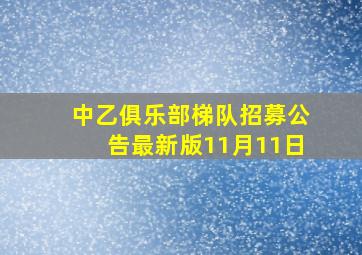 中乙俱乐部梯队招募公告最新版11月11日