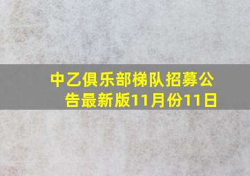 中乙俱乐部梯队招募公告最新版11月份11日