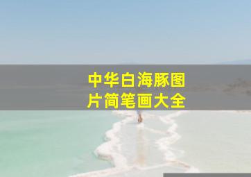 中华白海豚图片简笔画大全