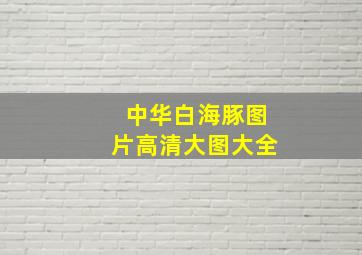 中华白海豚图片高清大图大全