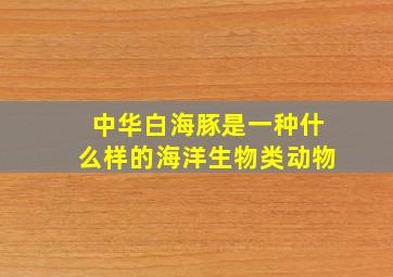 中华白海豚是一种什么样的海洋生物类动物