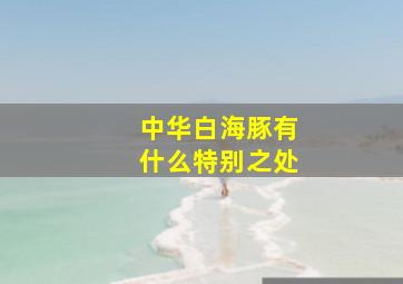 中华白海豚有什么特别之处