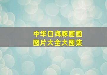 中华白海豚画画图片大全大图集