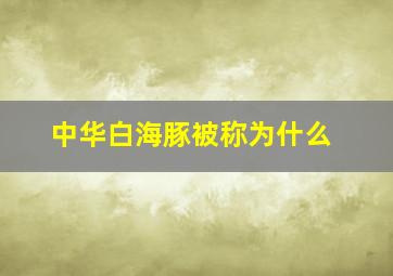 中华白海豚被称为什么