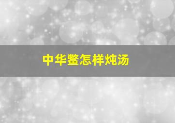 中华鳖怎样炖汤