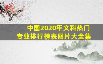 中国2020年文科热门专业排行榜表图片大全集