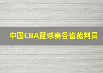 中国CBA篮球赛各省裁判员