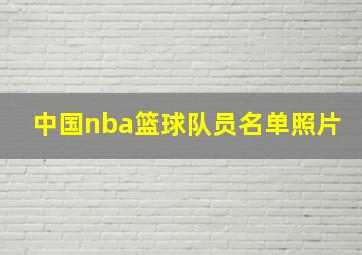 中国nba篮球队员名单照片