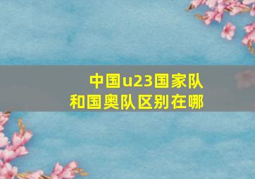 中国u23国家队和国奥队区别在哪