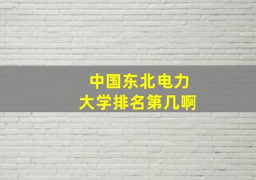 中国东北电力大学排名第几啊