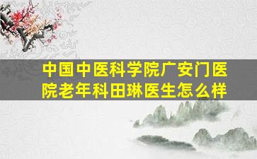 中国中医科学院广安门医院老年科田琳医生怎么样