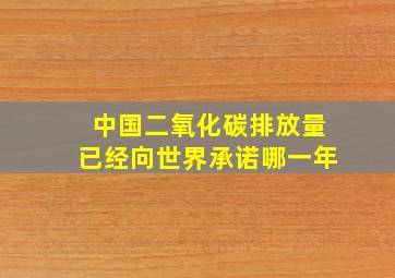 中国二氧化碳排放量已经向世界承诺哪一年