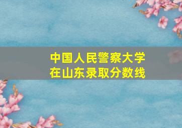 中国人民警察大学在山东录取分数线