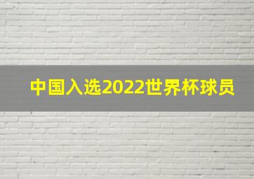 中国入选2022世界杯球员