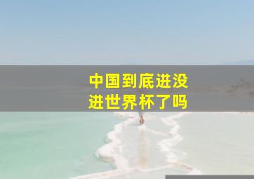 中国到底进没进世界杯了吗