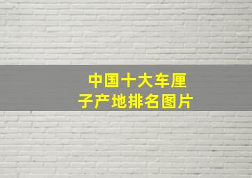 中国十大车厘子产地排名图片