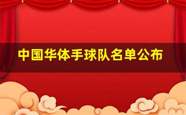 中国华体手球队名单公布