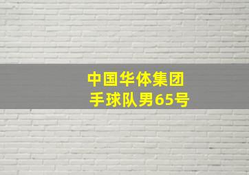 中国华体集团手球队男65号