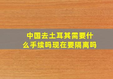 中国去土耳其需要什么手续吗现在要隔离吗