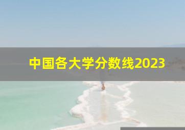 中国各大学分数线2023