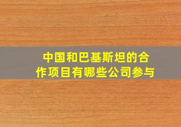 中国和巴基斯坦的合作项目有哪些公司参与