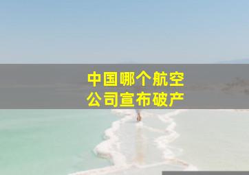 中国哪个航空公司宣布破产