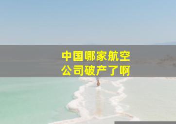 中国哪家航空公司破产了啊