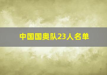 中国国奥队23人名单