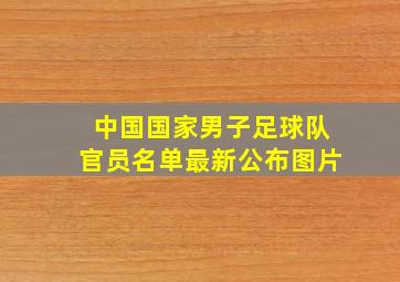 中国国家男子足球队官员名单最新公布图片