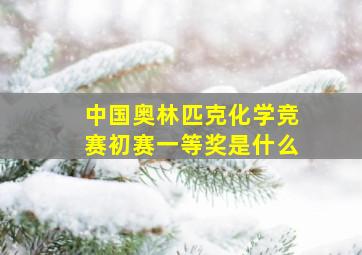 中国奥林匹克化学竞赛初赛一等奖是什么