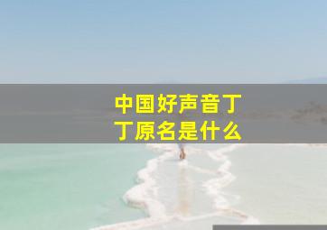 中国好声音丁丁原名是什么