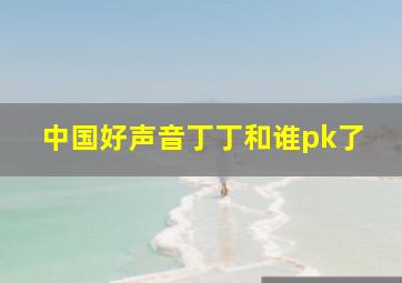 中国好声音丁丁和谁pk了