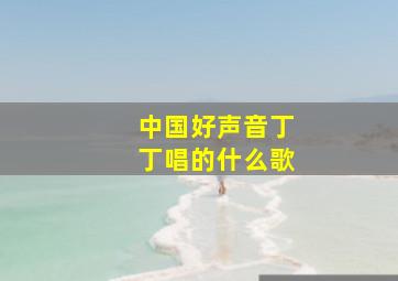 中国好声音丁丁唱的什么歌