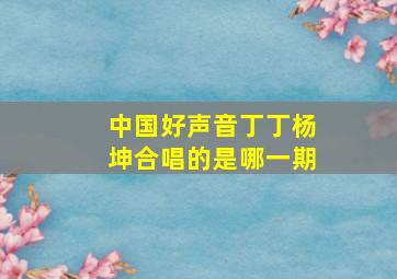 中国好声音丁丁杨坤合唱的是哪一期