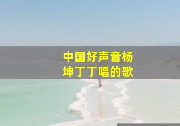 中国好声音杨坤丁丁唱的歌