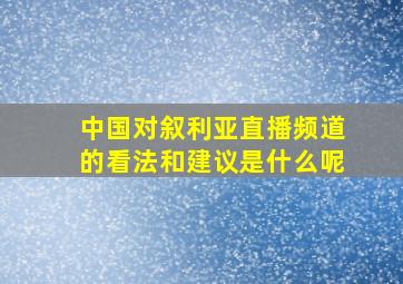 中国对叙利亚直播频道的看法和建议是什么呢